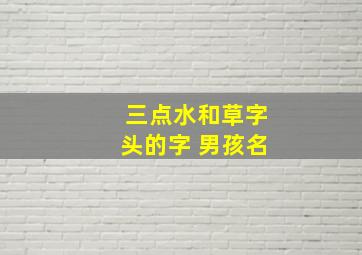 三点水和草字头的字 男孩名